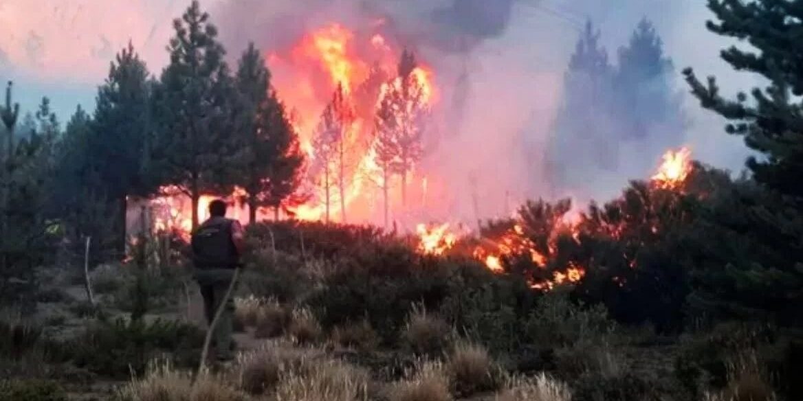 Incendio Patagonia Incendios en Patagonia