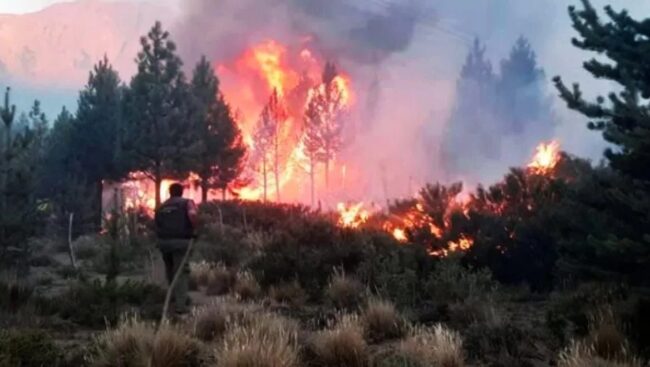 Incendio Patagonia Incendios en Patagonia